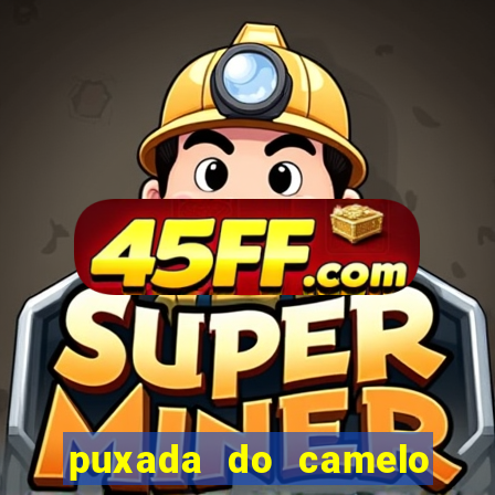 puxada do camelo no jogo do bicho
